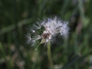 5454938