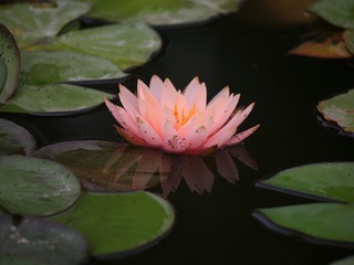 557030