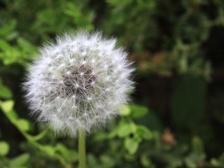 5391962