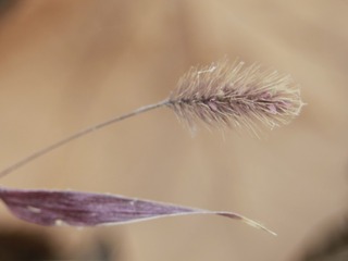 5709742