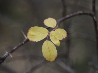 5685363
