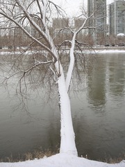 5739049