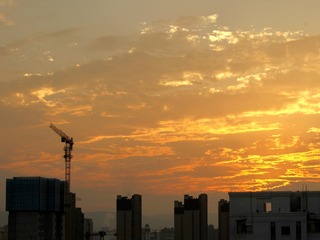 5566358