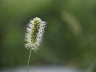 5489878