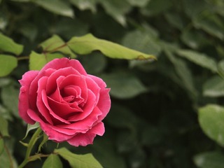 5463511