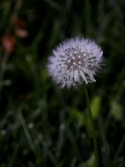 5493637