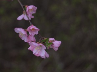5770816
