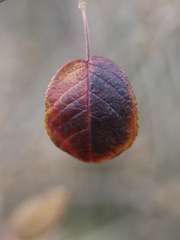 5685376