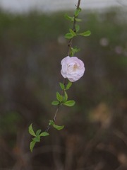 5770738
