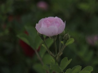 5406829