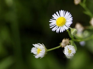 5486926