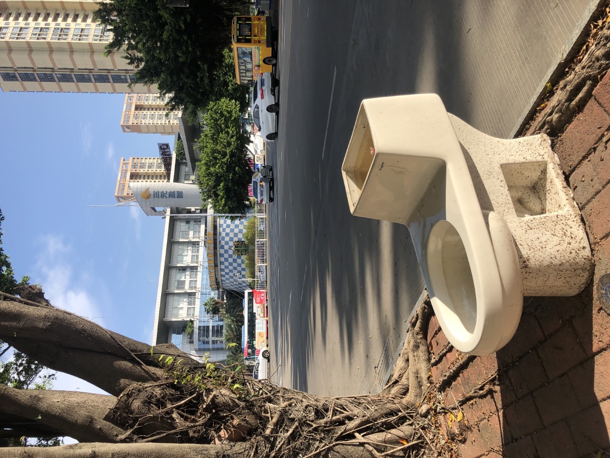 厕所,这是露天的