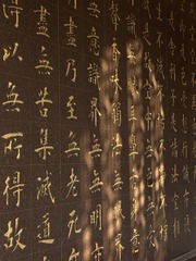 7465D8E8-F2D9-406F-9B51-BA1BC5759139/L0/001