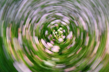1000046669