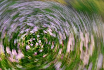 1000046668