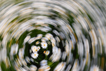1000046666