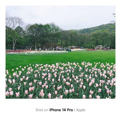 4D57AFAA-4D20-4D21-90CB-2F7E2AD5890C/L0/001