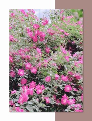 D197D5DC-2BD6-4A2F-86B4-1A25450B8733/L0/001