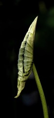 1269082