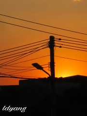 96F50AEB-A49F-4355-BC40-0651B2F75105/L0/001