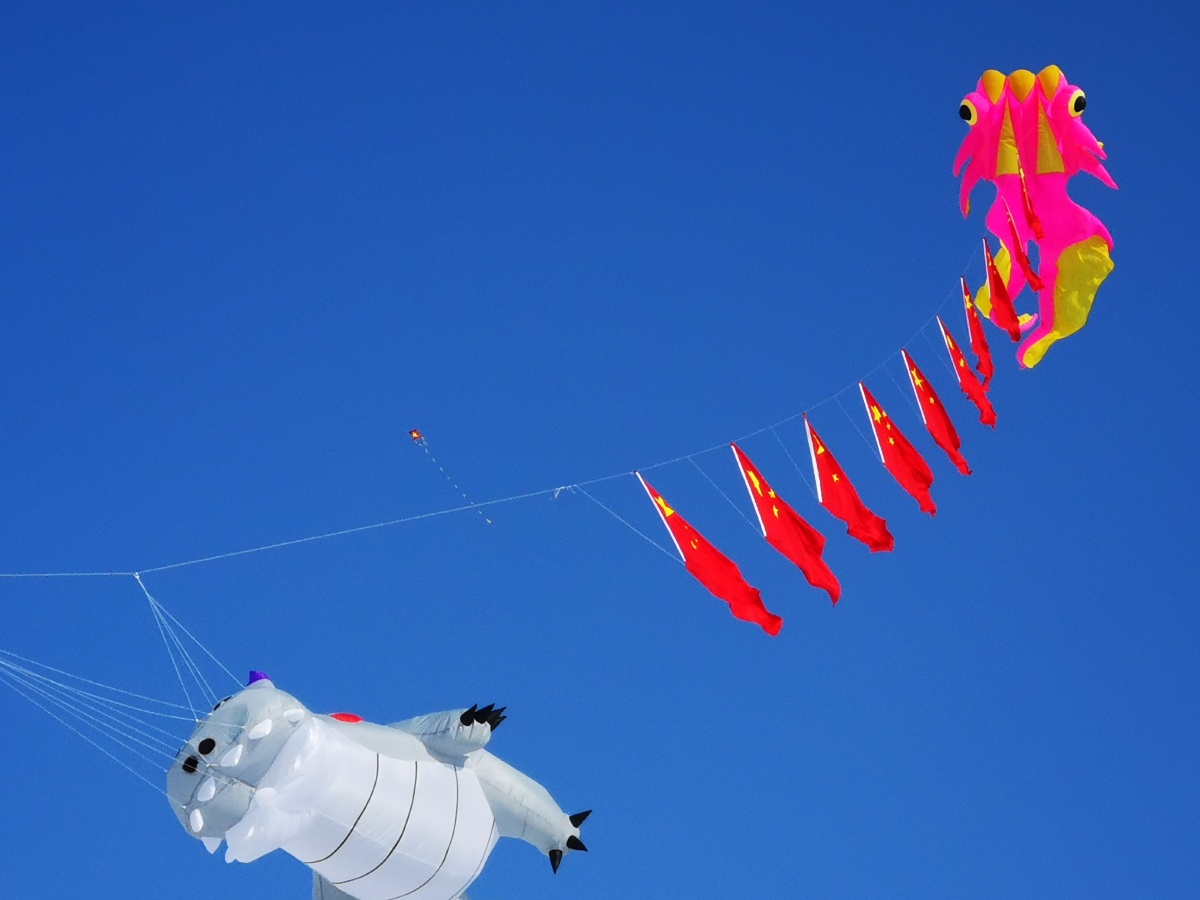 五星红旗迎风飘扬大年初一一位风筝爱好者在松花江哈尔滨市区段冰封的