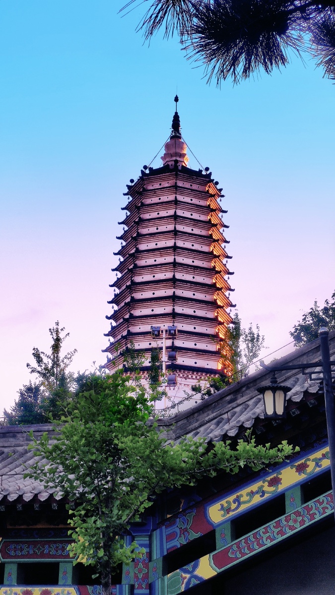 土阜如龙渴饮川,龙头古塔矗千年.夕阳御路惊回首,倒影峥嵘水底天.