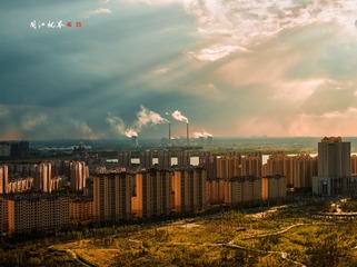 56064