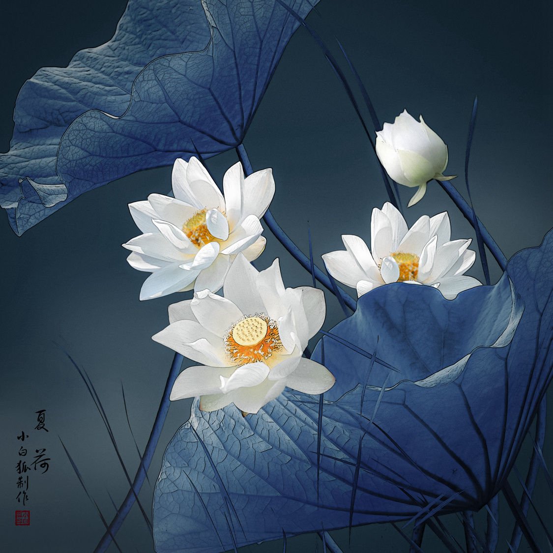 我是黄蓉2020年8月5日1063关注画意荷花中国水下摄影花您的打赏,是最