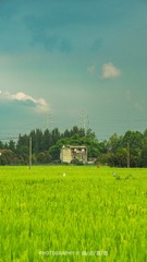 FA3D7120-8EF8-4C56-B436-889378DAB0EE/L0/001