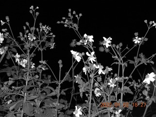 63A53583-D75E-48BC-A832-8C5187E3BF3B/L0/001