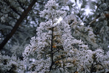 5D573C0E-4CE7-450E-A301-E9546A6315FE/L0/001