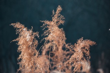 CF0D5E16-FFA6-4DF1-87EB-79787E485F47/L0/001