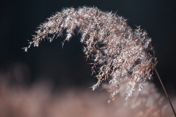 792BB32E-7581-4D12-9603-E6BCB09B3431/L0/001