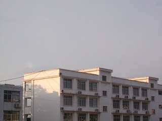 4239164