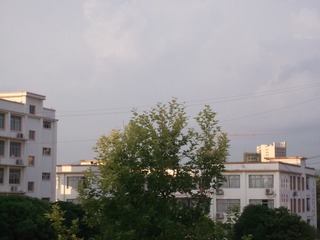 4239163