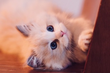 3FB1F23F-93BF-45BD-AFF5-8E3C66F9A5DD/L0/001