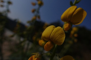 F9A91A63-10B1-44CA-A492-F28CB4C98B96/L0/001