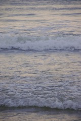 647D5883-80FB-41A7-AAE9-B432F3D0A293/L0/001