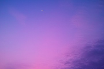 DP2M0669b