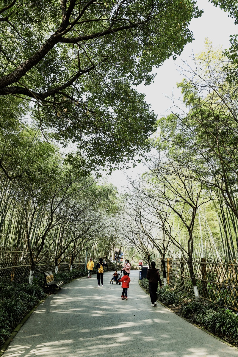 公园游玩的人们