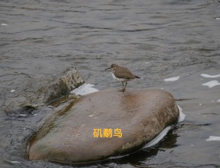 723375