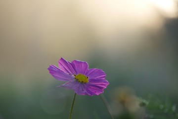 554770