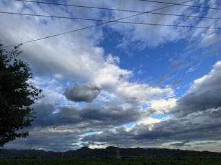 B03D260C-CD7F-42E4-812B-AC9AD03AB4C1/L0/001