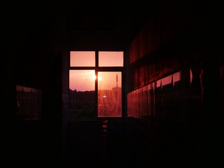 336533