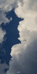 1340042