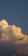 1340041