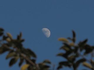 741849F3-39AD-4C85-BA54-73E990067659/L0/001