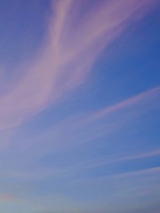 24A84A3E-40DD-474D-8341-2425607B9390/L0/001