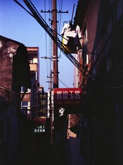 2664244