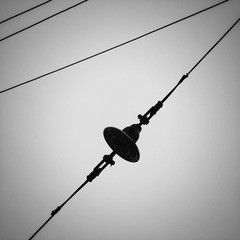 2767261